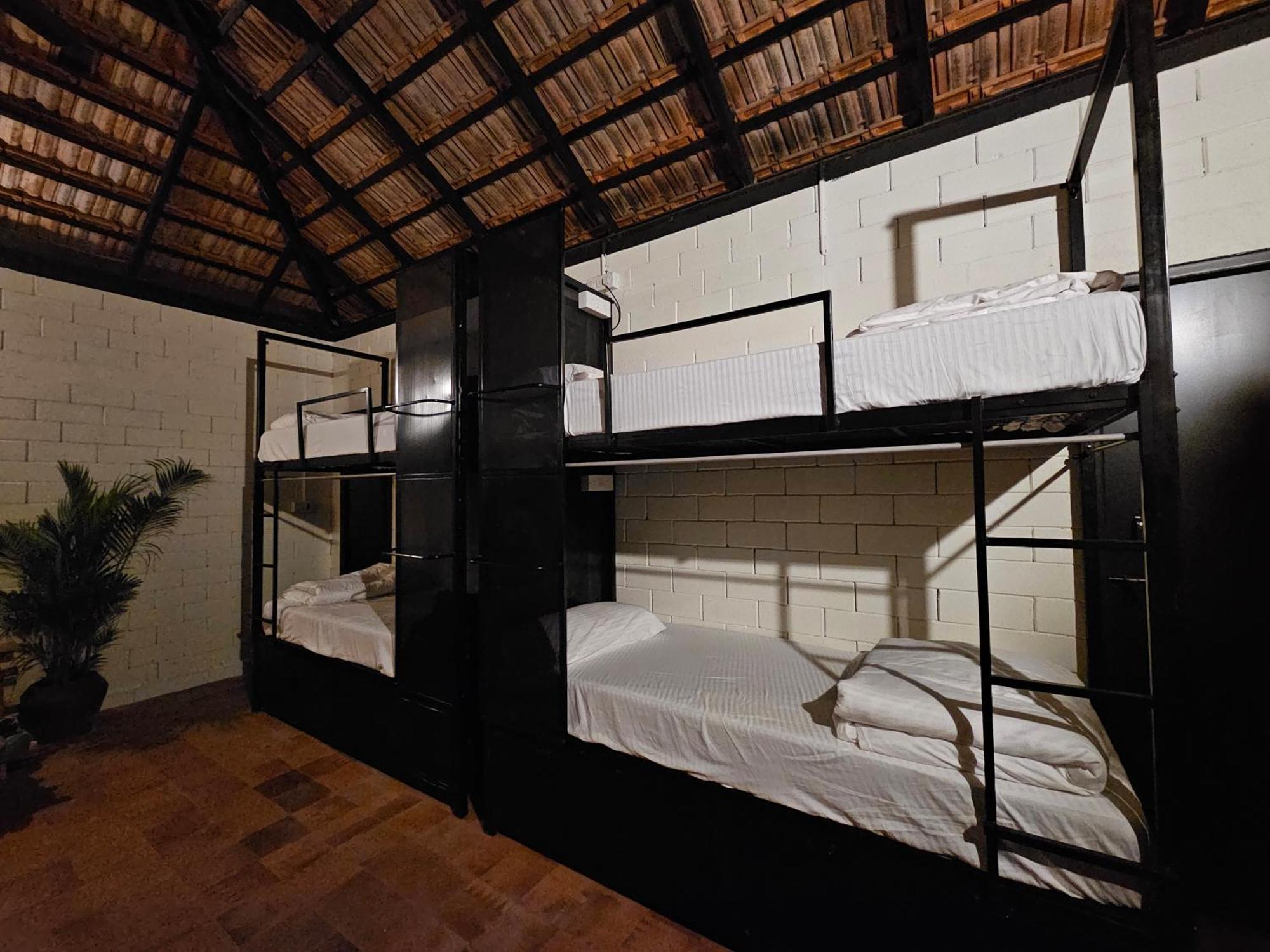Benomadic Eco Hostel, Madikeri, Coorg Suntikoppa Eksteriør billede