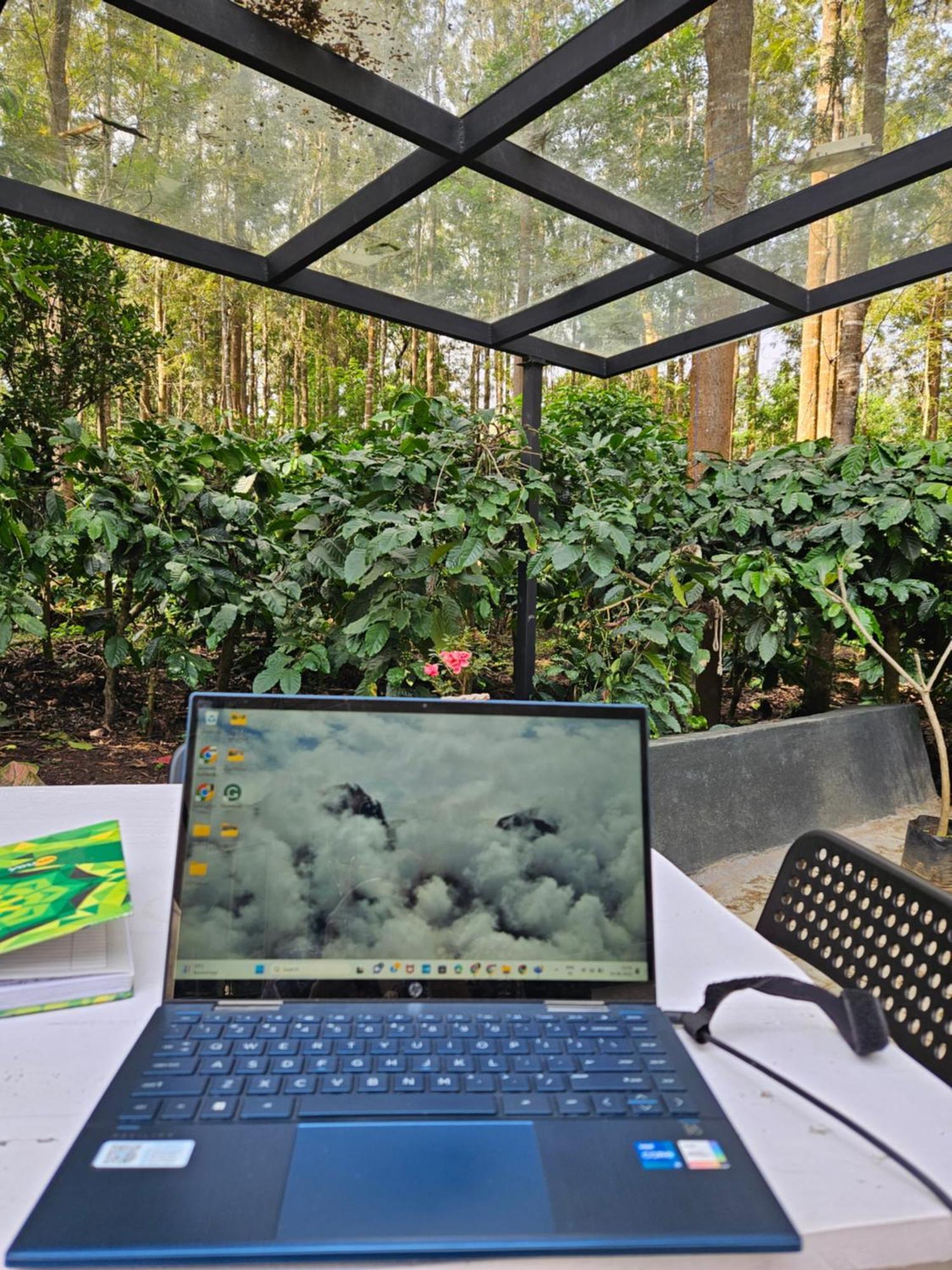 Benomadic Eco Hostel, Madikeri, Coorg Suntikoppa Eksteriør billede
